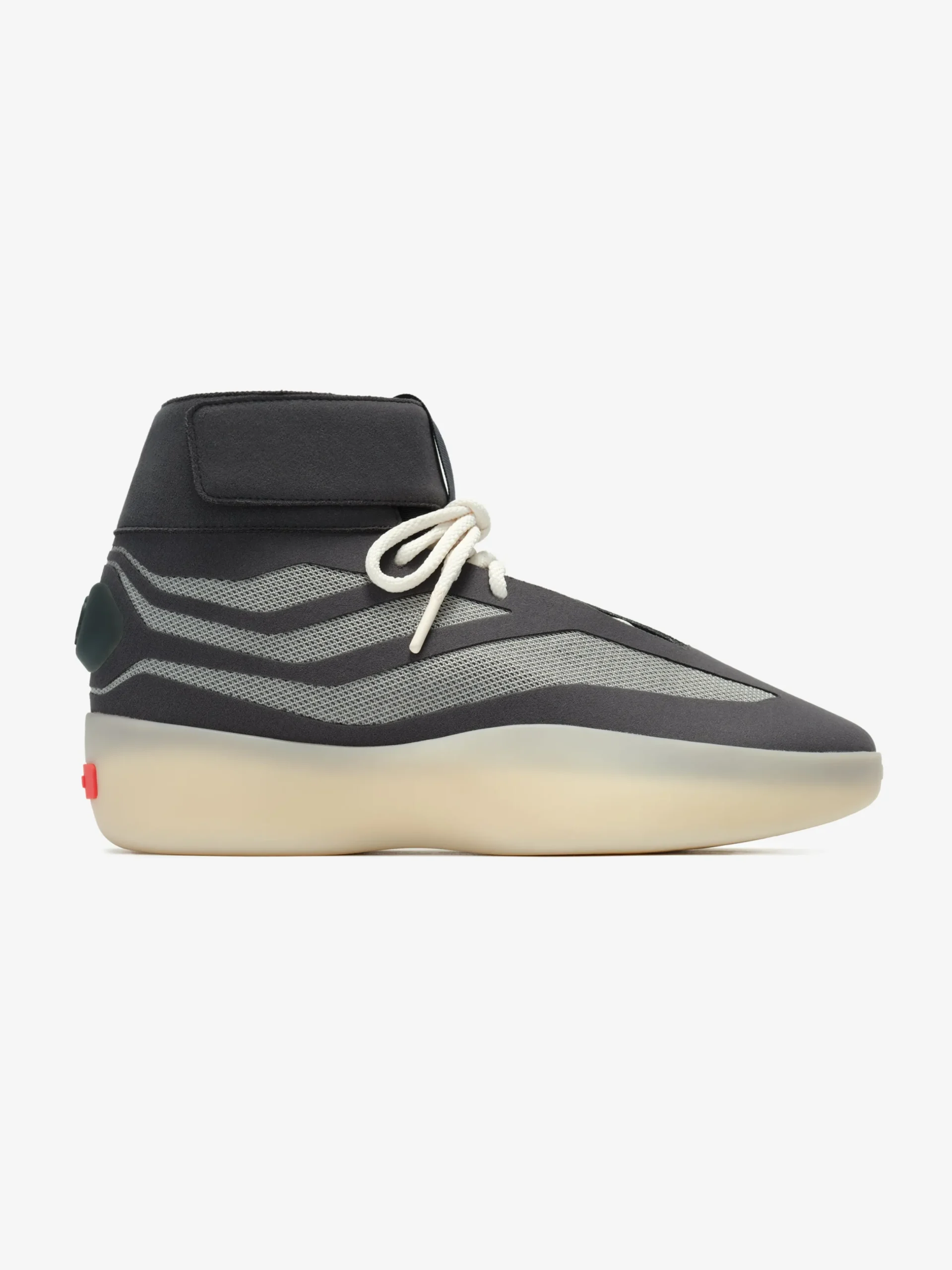 Derrick Rose II Basketball Hi