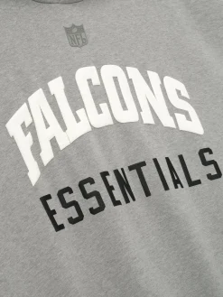 Falcons Sport Hoodie